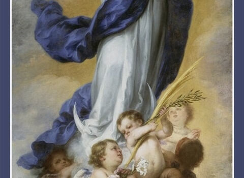 Solemnes Cultos a la Inmaculada Concepción